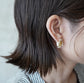 N-01- Mixed Seeds Pierce silver（シングル）