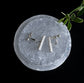 N-73- Coil Earring silver