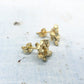 N-24- Prism Pierce S brass